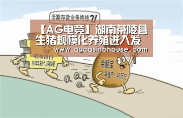 【AG电竞】湖南茶陵县生猪规模化养殖进入发展快车道