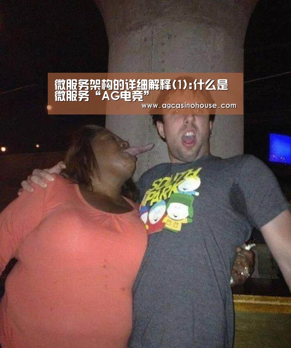 微服务架构的详细解释(1):什么是微服务“AG电竞”